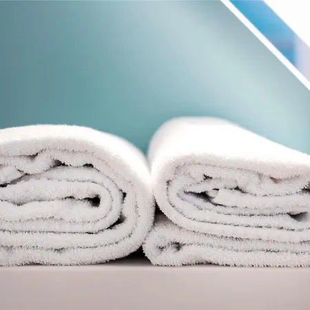 Ibis Budget Poitiers Nord Futuroscope Otel Chasseneuil-du-Poitou